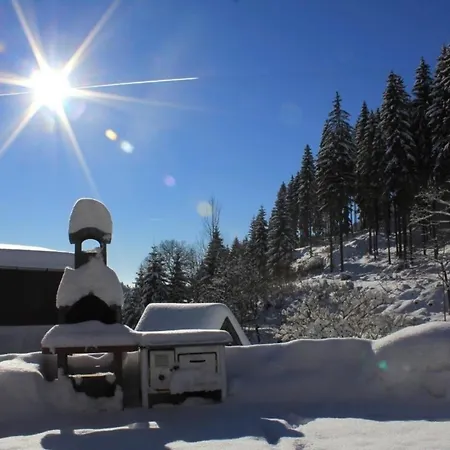 In Mit Terrasse, Garten Und Grill * Klingenthal